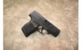 SIG Sauer~P365 SAS~9mm Luger - 1 of 6