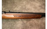 Marlin~Glenfield Model 60~.22 LR - 7 of 11