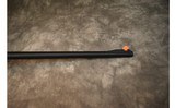 Henry~Survival Rifle~.22 LR - 6 of 11