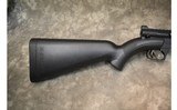 Henry~Survival Rifle~.22 LR - 10 of 11