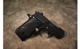 SIG Sauer~P238~.380 ACP - 1 of 2