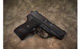 SIG Sauer~P239~.40 S&W - 1 of 2