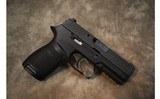 SIG Sauer~P320~9mm - 1 of 2