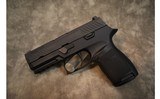 SIG Sauer~P320~9mm - 2 of 2