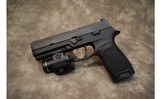 SIG SAUER~P320~9mm - 2 of 2
