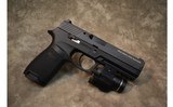 SIG SAUER~P320~9mm - 1 of 2