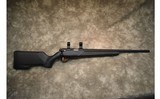 Lithgow~LA101~.17HMR - 1 of 10