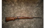 Weatherby~Vanguard~7MM Rem Mag - 1 of 12