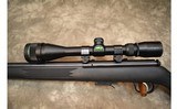 Savage~93R17~.17 HMR - 10 of 12