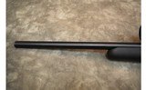 Savage~93R17~.17 HMR - 12 of 12