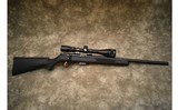 Savage~93R17~.17 HMR - 1 of 12