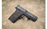 Smith & Wesson~Equalizer~9MM Luger