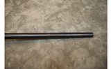 CZ~457~.22 WMR - 6 of 12