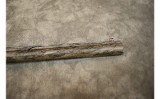 Benelli~Nova 3~12 Gauge - 7 of 14