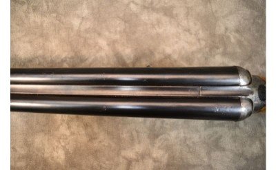 Cogswell & Harrison~SXS~12 Gauge - Image 11 of 11