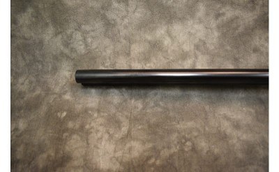 Cogswell & Harrison~SXS~12 Gauge - Image 10 of 11