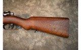Deutsche Waffen~Argentino 1909~Unknown Caliber