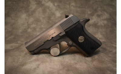 Colt~Pony Pocketlite~.380 Auto