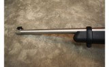 Ruger~10/22~.22 LR - 12 of 12