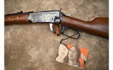 Winchester~94 Crazy Horse~.38-55 Win - 10 of 14