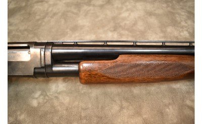 Winchester~Model~12 Gauge - Image 4 of 14