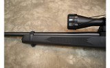 Ruger~10/22~.22 LR - 11 of 12