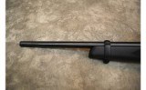Ruger~10/22~.22 LR - 12 of 12