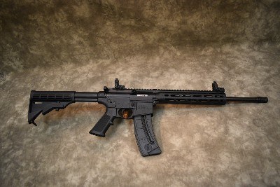 Smith & Wesson~M&P15-22~.22 LR