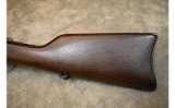E. Remington & sons~Rifle~.43 Spanish - 9 of 14