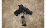 SIG Arms~365~9MM Luger - 3 of 3