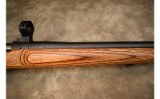 Remington~700~.223 Rem - 4 of 12