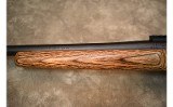 Remington~700~.223 Rem - 10 of 12