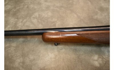 Ruger~M77~7MM Rem Mag - Image 11 of 12