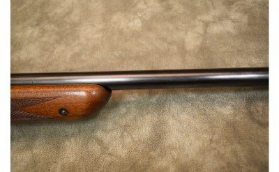 Browning~Semi-auto~12 Gauge - Image 5 of 12