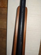 Ruger M77 Mark II - 12 of 15