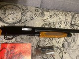 Winchester Model 1300 12 Ga Pump Shotgun - 7 of 9