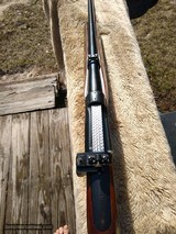 CAESAR GUERINI INVICTUS VII 7 34