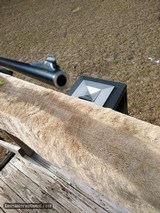 CAESAR GUERINI INVICTUS VII 7 34