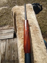 CAESAR GUERINI INVICTUS VII 7 34