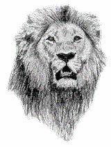 test service image speed - 9 of 25