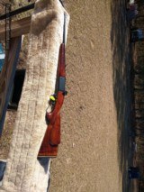 api live title - 4 of 6