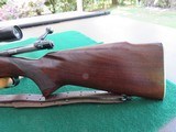 Winchester, Model 70, Pre-64 - 8 of 15