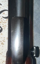 Winchester Model 1906 .22 S/L/LR Standard Takedown Rifle 20