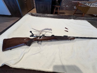 Winchester Model 70 pre 64 243 Varmit
