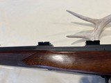 Winchester Model 70 pre 64 243 Varmit - 8 of 14