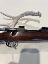 Winchester Model 70 pre 64 243 Varmit - 13 of 14
