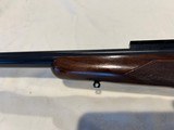 Winchester Model 70 pre 64 243 Varmit - 9 of 14