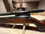 Mauser Patrone 22 Long Rifle - 11 of 15