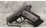 Kimber~Solo Carry DC~9 mm - 3 of 5