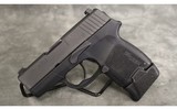 Sig Sauer~P290~9mm - 2 of 3